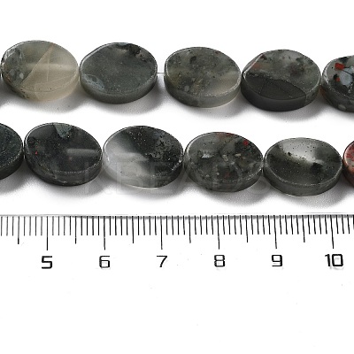 Natural Bloodstone Beads Strands G-P559-B17-01-1