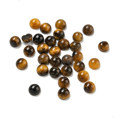 Natural Tiger Eye Cabochons G-Q173-01A-13-1