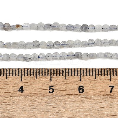 Natural Labradorite Beads Strands G-RM2025-A30-2mm-1