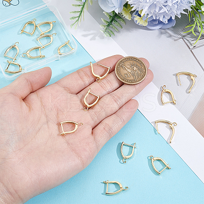 20Pcs Rack Plating Eco-friendly Brass Hoop Earring Findings with Latch Back Closure KK-BBC0027-50G-1