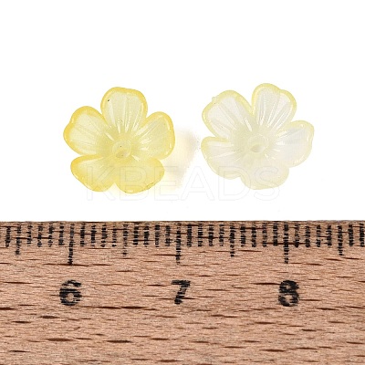 Transparent Plastic Bead Caps KY-Q005-02A-02-1