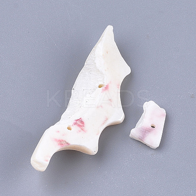 Sea Shell Beads SSHEL-T008-18-1