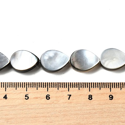 Natural Black Lip Shell Beads Strands BSHE-D300-04B-1