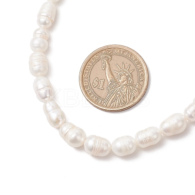 Natural Cultured Freshwater Pearl Rice Beaded Necklaces for Women NJEW-JN05337-02-1