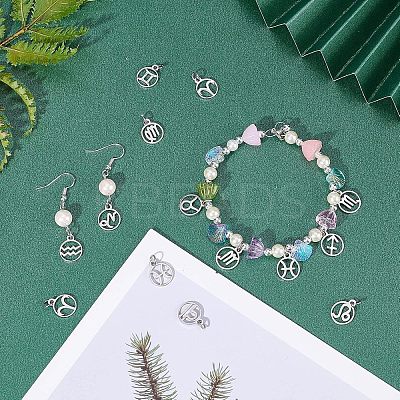304 Stainless Steel Charms STAS-UN0003-66P-1