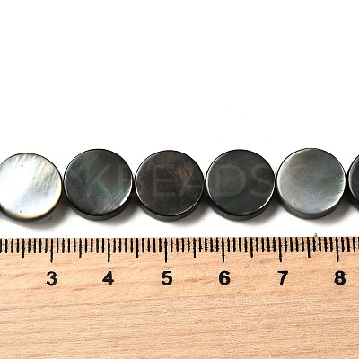 Natural Black Lip Shell Beads Strands BSHE-D300-05-12mm-1