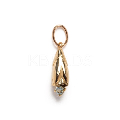Ion Plating(IP) Brass Micro Pave Cubic Zirconia Pendants PW-WG53304-03-1