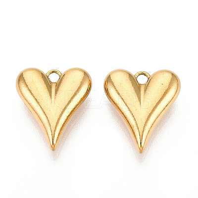 304 Stainless Steel Charms STAS-T065-81G-1