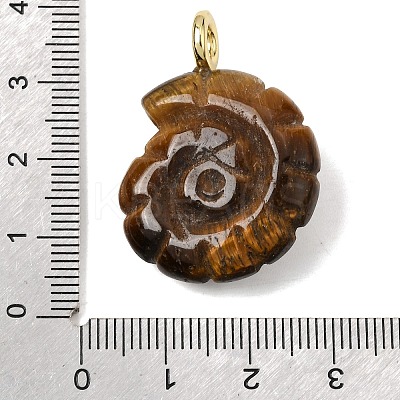 Natural Tiger Eye Carved Pendants G-C282-01O-1
