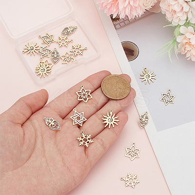20Pcs 5 Styles Ion Plating(IP) 316L Surgical Stainless Steel and 304 Stainless Steel Pendants STAS-AN0001-04-1