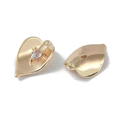 Brass Cubic Zirconia Pendants KK-H482-12G-03-1