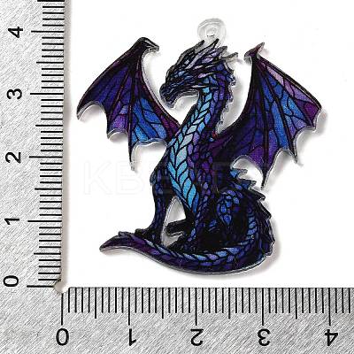 Transparent Printed Acrylic Pendants OACR-E043-03B-1