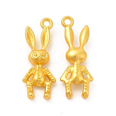 Rack Plating Alloy Pendants PALLOY-F287-14MG-1