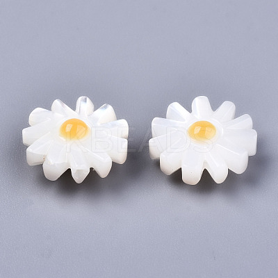 Natural White Shell Mother of Pearl Shell Beads SHEL-S266-13B-1