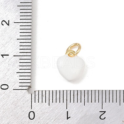 Brass Enamel Charms KK-P339-25G-01-1