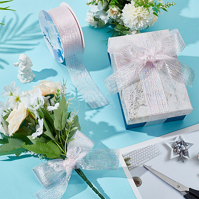 18M Iridescent Polyester Ribbon OCOR-WH0097-10B-1