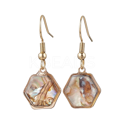 Natural Paua Shell Dangle Earrings EJEW-JE06274-1