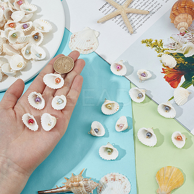 66Pcs 11 Styles Natural Shell Big Pendants PALLOY-MA00002-1