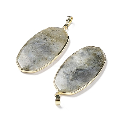 Natural Labradorite Pendants G-K338-05B-1