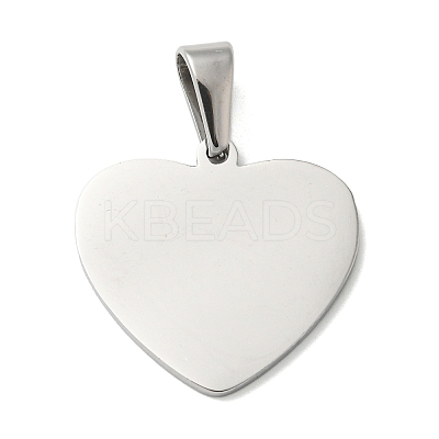 Tarnish Resistant 304 Stainless Steel Pendants STAS-I135-12P-1