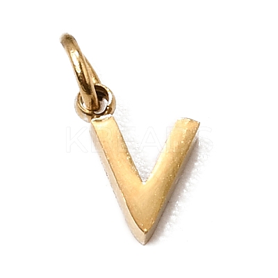 304 Stainless Steel Charms SA-CBABF3F-01G-V-1