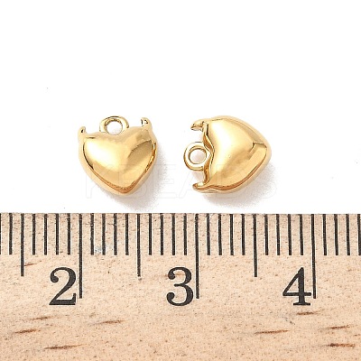 304 Stainless Steel Charms KK-D503-10G-1