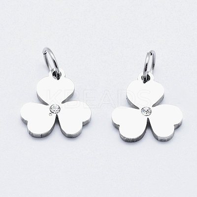 Eco-Friendly 316 Surgical Stainless Steel Micro Pave Cubic Zirconia Charms LS-RB-I078-79P-NR-1