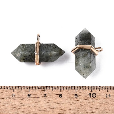 Natural Labradorite Double Terminal Pointed Pendants G-N345-09H-1