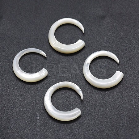 Natural White Shell Beads SSHEL-E567-19A-1