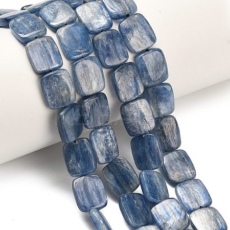 Natural Kyanite Beads Strands G-H335-I01-10x12mm-1