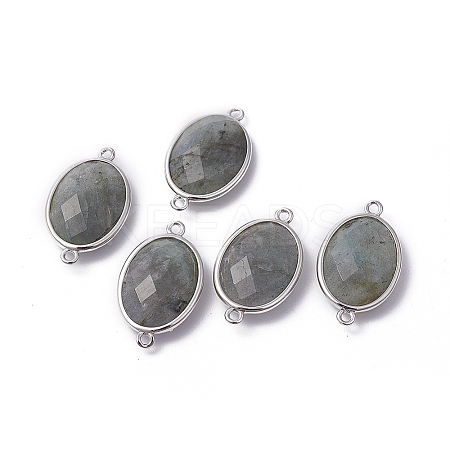 Platinum Tone Brass Natural Labradorite Links connectors LS-X-G-F339-B12-1