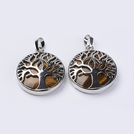 Natural Tiger Eye Pendants G-P350-D08-1