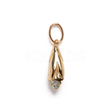 Ion Plating(IP) Brass Micro Pave Cubic Zirconia Pendants PW-WG53304-03-1