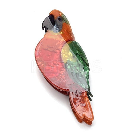 Acrylic Claw Hair Clips for Women Girls PHAR-I011-03-1