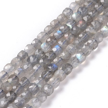 Natural Labradorite Beads Strands G-D0003-B10-1