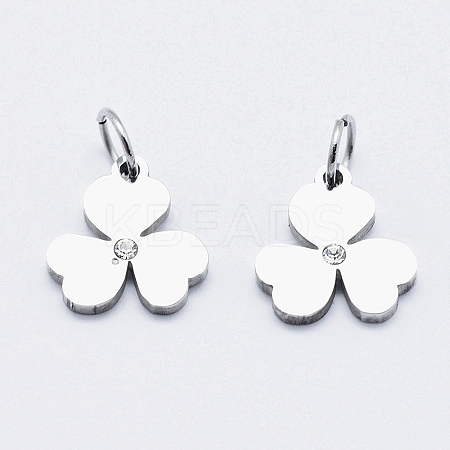 Eco-Friendly 316 Surgical Stainless Steel Micro Pave Cubic Zirconia Charms LS-RB-I078-79P-NR-1