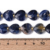 Natural Sodalite Beads Strands G-P592-B08-01-5