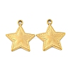 Ion Plating(IP) 304 Stainless Steel Pendants STAS-P365-09G-1