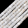 Natural Freshwater Shell Beads Strands SH-CBA2978-21C-1