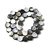 Natural Black Lip Shell Beads Strands BSHE-D300-05-10mm-2