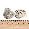 Natural Shell Pendants LS-SHEL-K009-17A-3