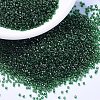MIYUKI Delica Beads SEED-J020-DB1894-1