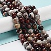 Natural Mexican Red Laguna Lace Agate Round Beads Strands G-NH0005-A31-03-1