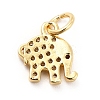 Rack Plating Brass Micro Pave Cubic Zirconia Charms KK-K270-17G-2