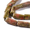 Natural Unakite Beads Strands G-L240-15-4