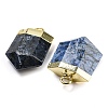 Natural Sodalite Pointed Pendants G-M431-05G-07-2
