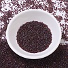 MIYUKI Delica Beads SEED-X0054-DB0061-2