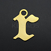 201 Stainless Steel Charms STAS-S105-JA570-R-1