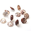 Tiger Cowrie Shell Beads Strands LS-BSHE-L037-11-3