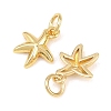 Brass Charms KK-G549-17A-G-2